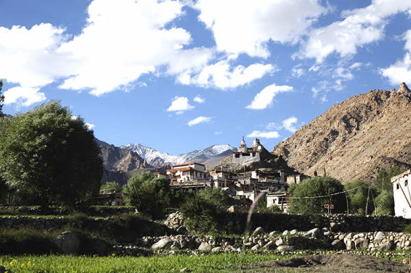 Temisgam, Ladakh